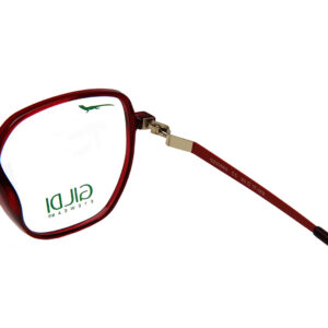 G250668-C5-(4)